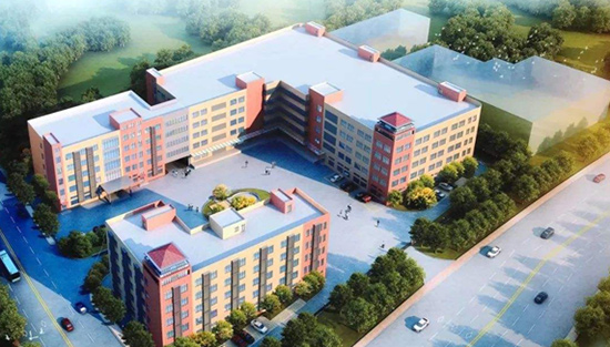 欧宝体育在线直播nba：市委领导